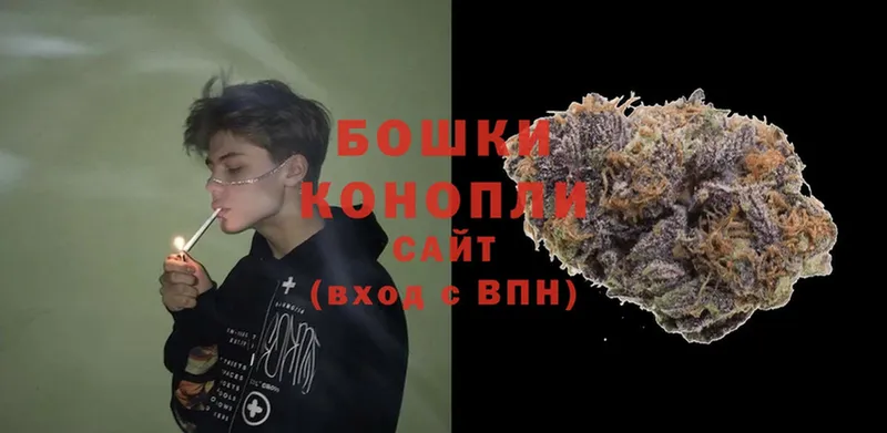 закладки  Дорогобуж  Бошки Шишки White Widow 